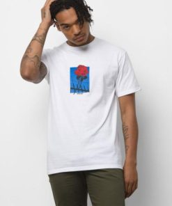 Cartzest.shop1cd3a12462 2