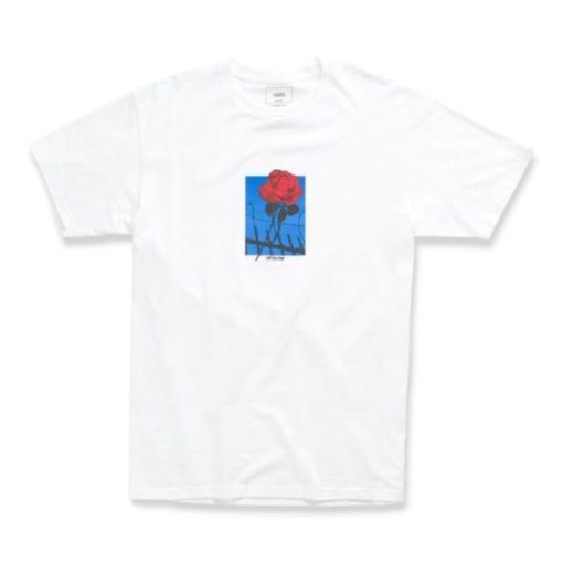 Cartzest.shop1cd3a12462 4