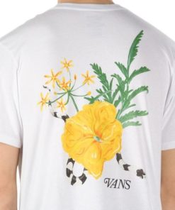 Cartzest.shop91fec436d7 3